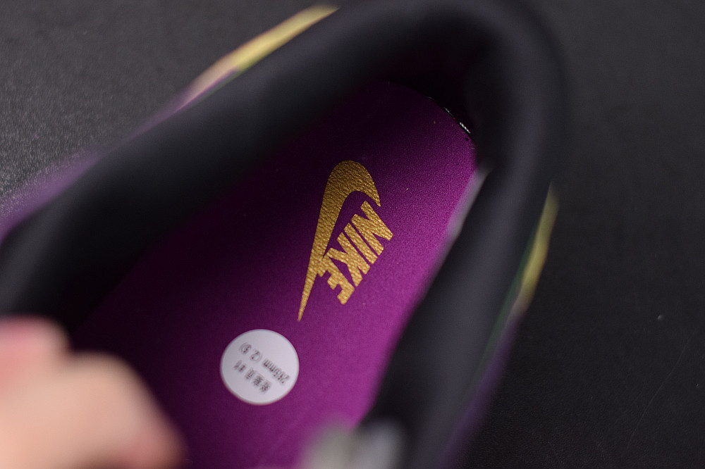 NIKE CONFRIMS DUNK LOW “VIOTECH” CT5050-500