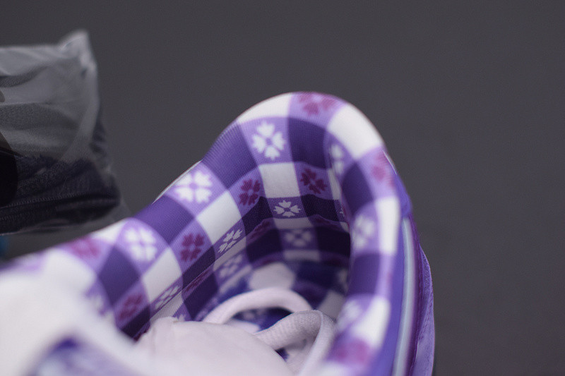 NIKE SB DUNK LOW CONCEPTS PURPLE LOBSTER BV1310-555