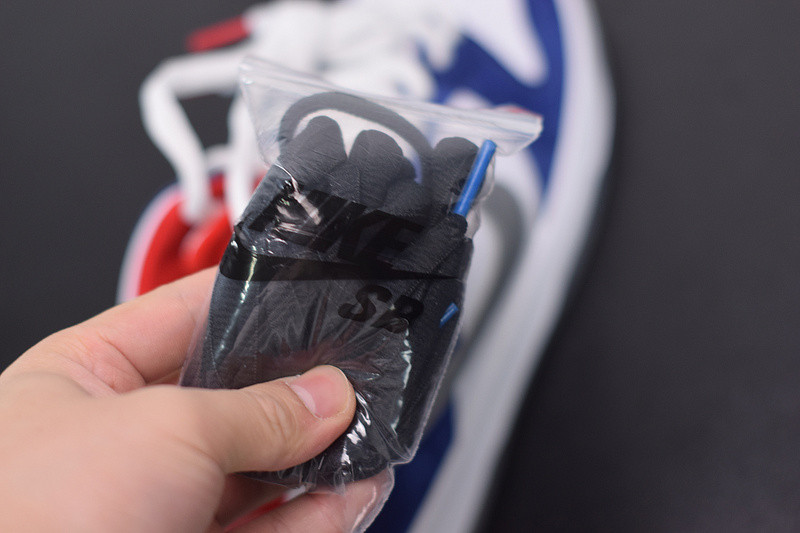 NIKE SB DUNK SB LOW ISHOD WAIR "BMW" 839685-416