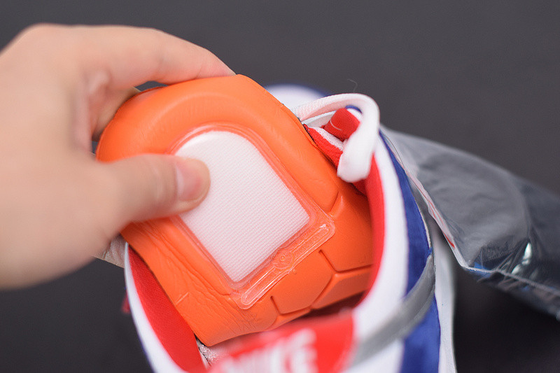 NIKE SB DUNK SB LOW ISHOD WAIR "BMW" 839685-416