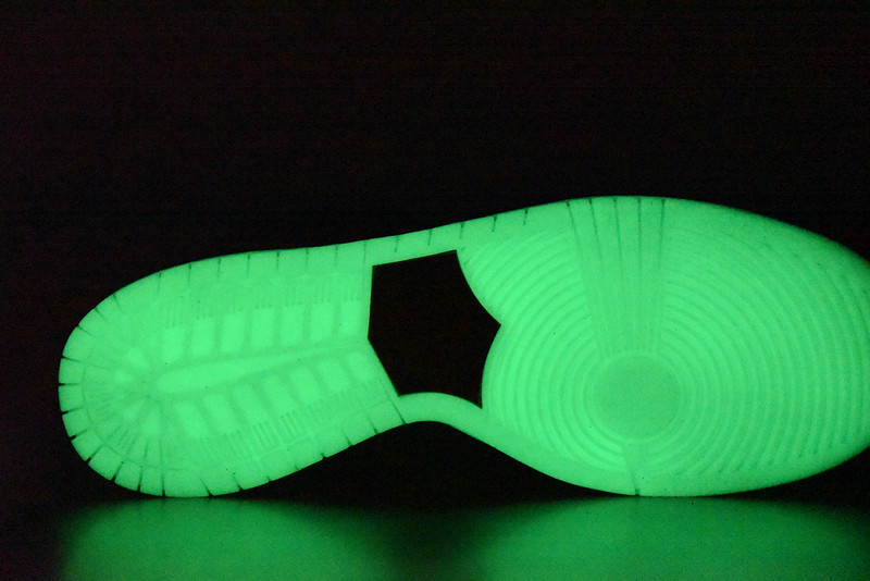 NIKE DUNK HIGH PREMIUM SB