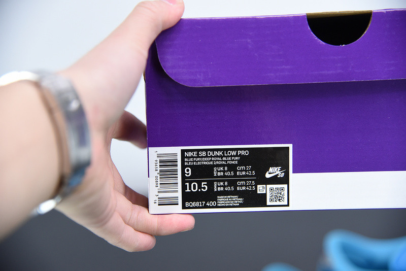 NIKE SB DUNK LOW “BLUE FURY” BQ6817-400