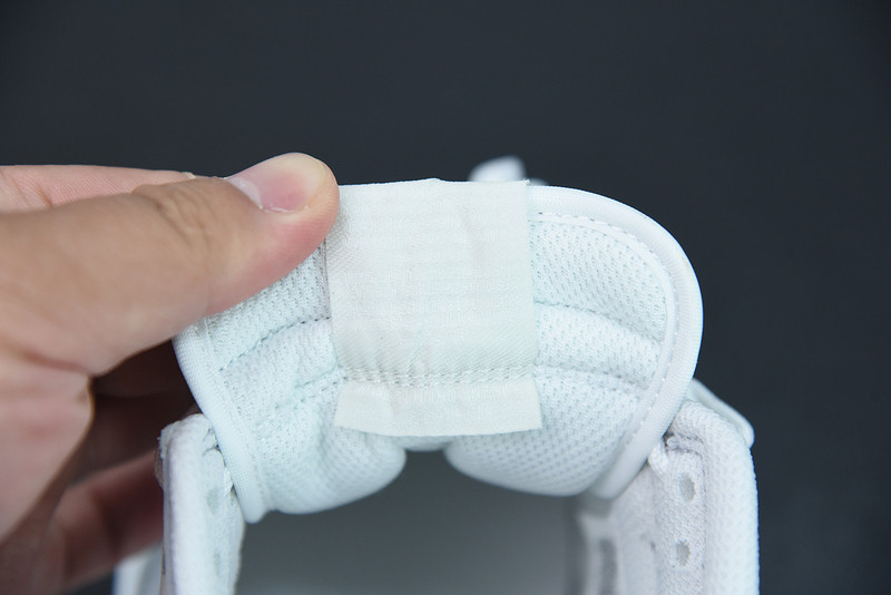 NIKE DUNK LOW “PHOTON DUST” (W) DD1503-103