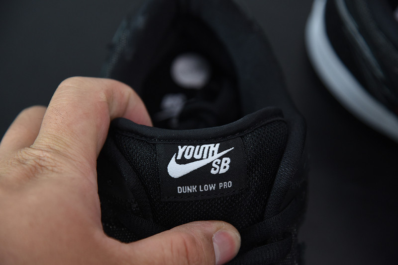 NIKE SB DUNK LOW WASTED YOUTH DD8386-001