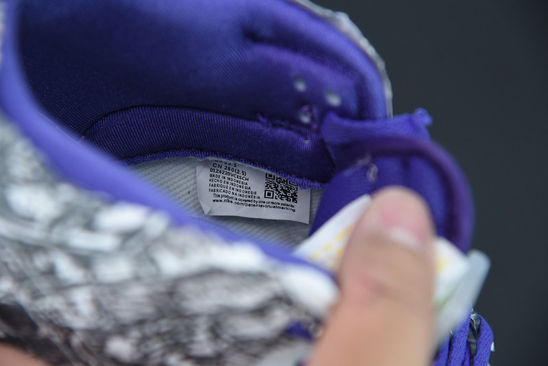 NIKE SB DUNK LOW “FLIP THE OLD SCHOOL” DJ4636-100