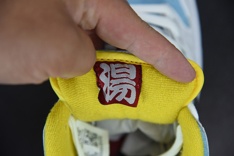 FTC NIKE SB DUNK LOW DH7687-400