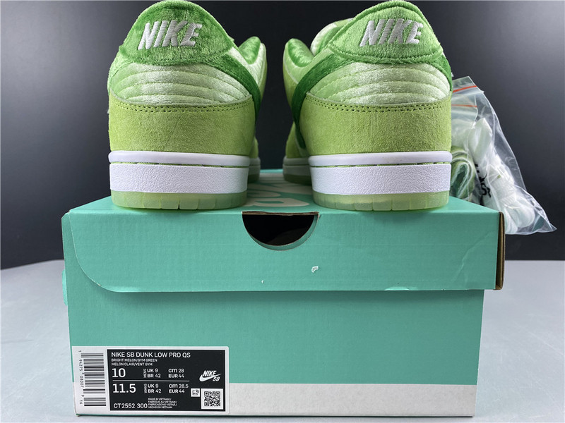 NIKE SB DUNK LOW PRO QS CT2552-300