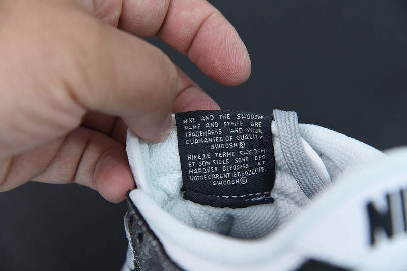 NIKE DUNK LOW WITH SILVER CRACKED LEATHER DO5882-001