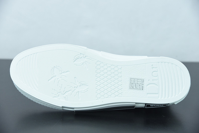 DIO* B23 LOW-TOP SNEAKERS IN OBLIQUE