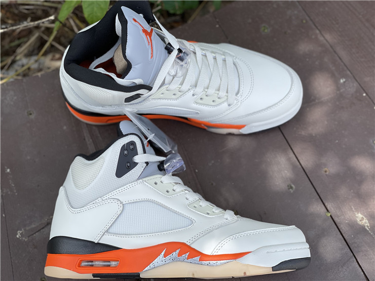AIR JORDAN 5 “SHATTERED BACKBOARD” DC1060-100