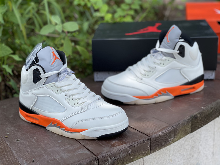 AIR JORDAN 5 “SHATTERED BACKBOARD” DC1060-100