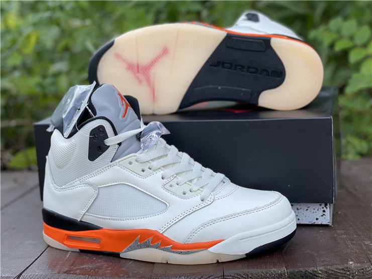 AIR JORDAN 5 “SHATTERED BACKBOARD” DC1060-100
