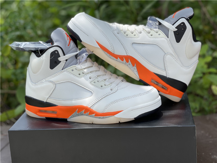 AIR JORDAN 5 “SHATTERED BACKBOARD” DC1060-100