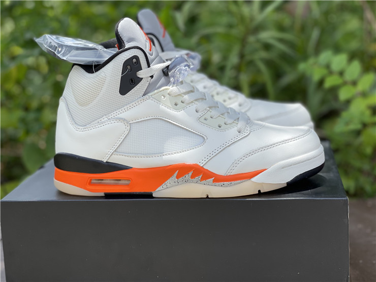 AIR JORDAN 5 “SHATTERED BACKBOARD” DC1060-100