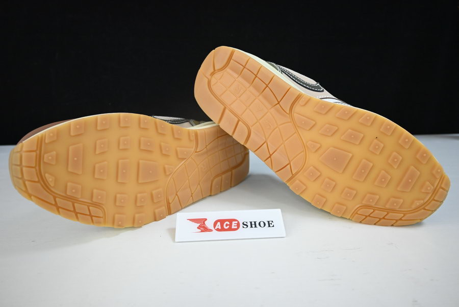 Nike Air Max 1 Premium Wabi-Sabi DQ8656-133