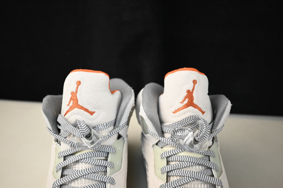 AIR JORDAN 5 RETRO SE 
