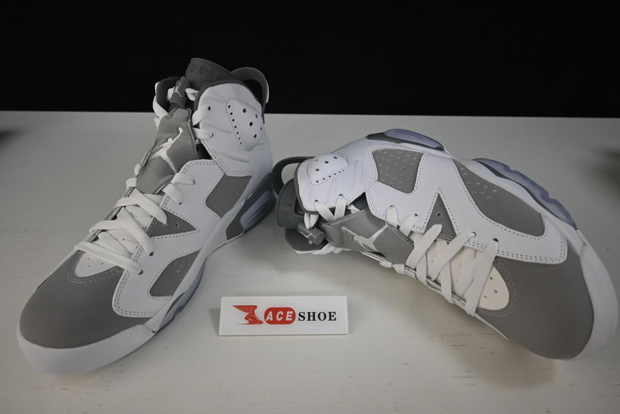 Air Jordan 6 “Cool Grey” CT8529-100