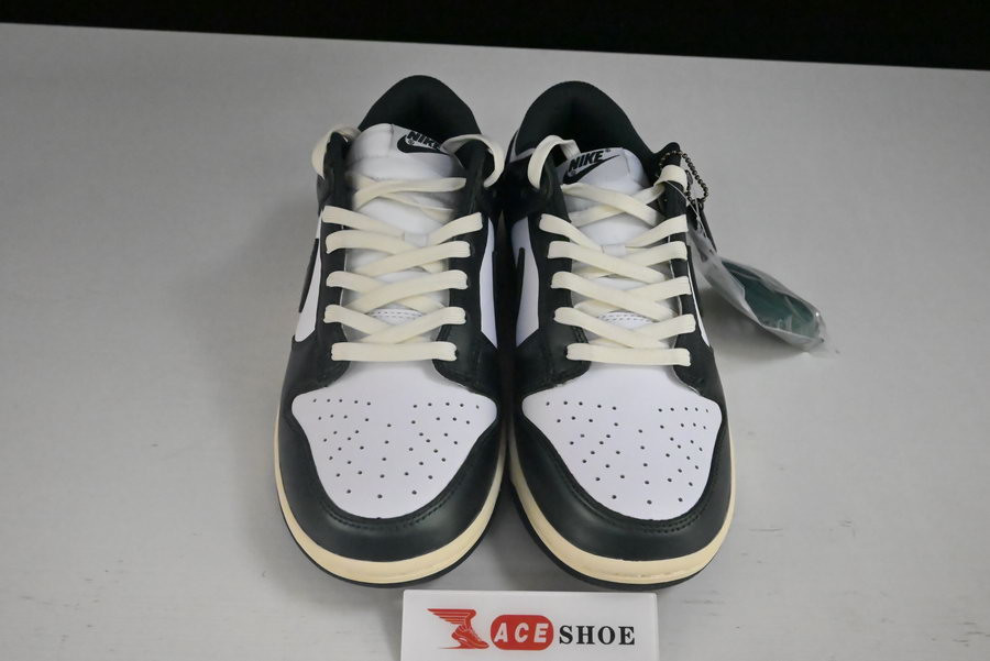 NIKE SB DUNK LOW “VINTAGE GREEN” DQ8580-100