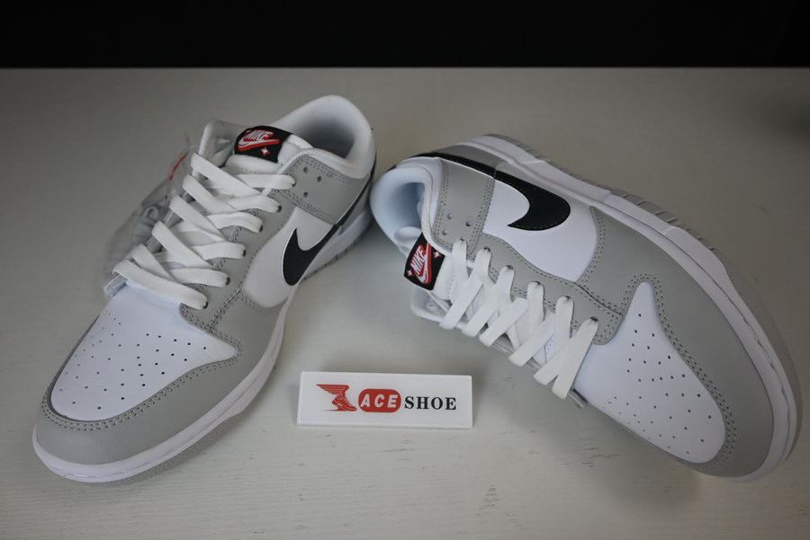 NIKE DUNK LOW “LOTTERY” DR9654-001