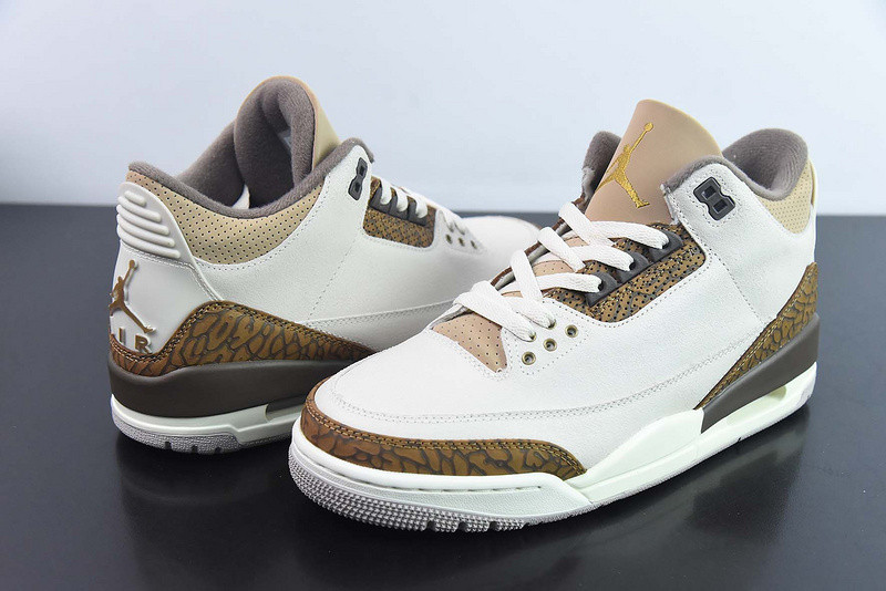 Air Jordan 3 "Palamino" CT8532-102