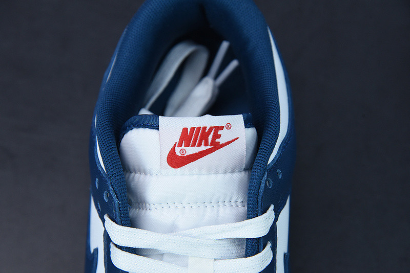 NIKE DUNK LOW VALERIAN BLUE DD1391-400