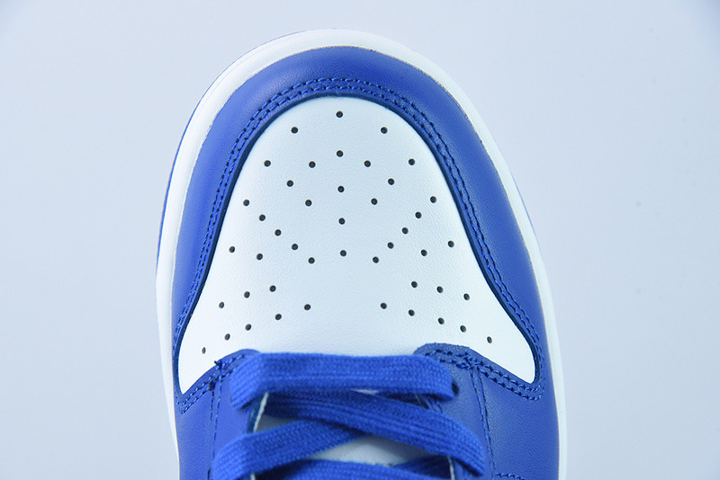 Nike Dunk High Game Royal DD1399-102