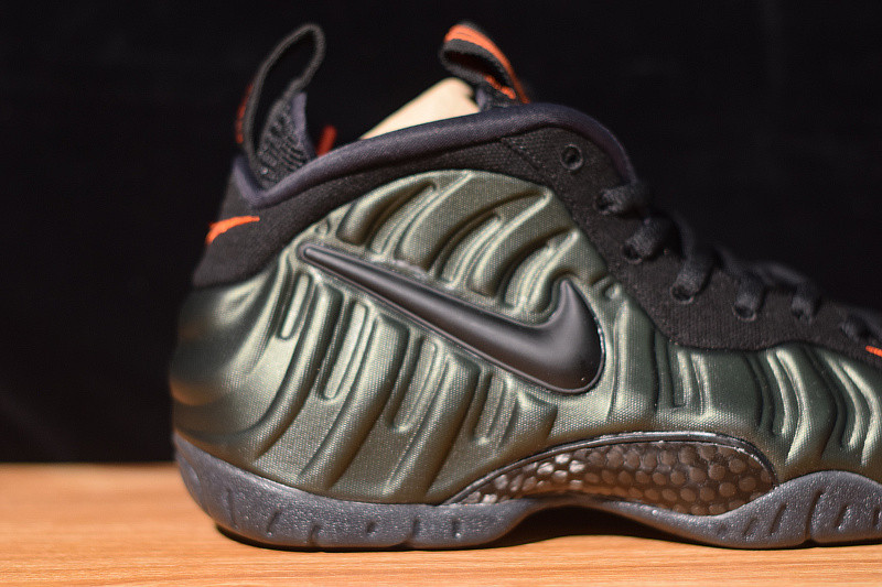 NIKE AIR FOAMPOSITE  PRO SEQUOIA 624041-304