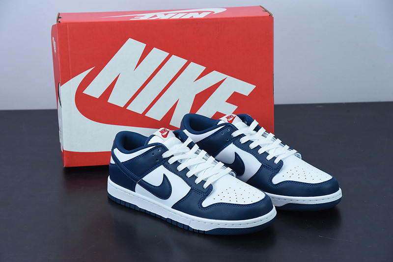 NIKE DUNK LOW VALERIAN BLUE DD1391-400