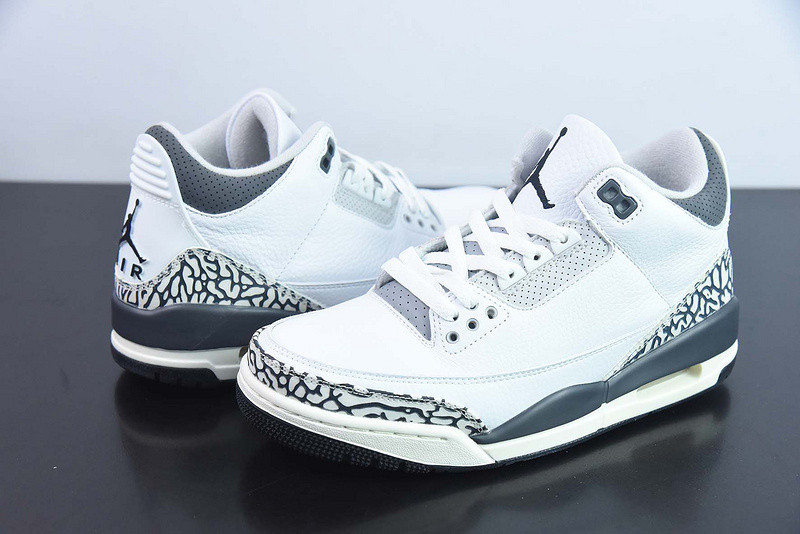 Air Jordan 3 GS Hide N