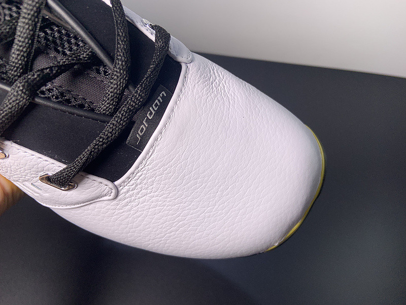 AIR JORDAN 17 LOW “LIGHTNING” FJ0395-100