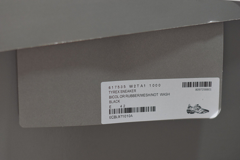 BC 5.0 TYREX 20SS RUNWAY