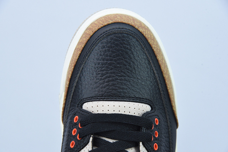 AIR JORDAN 3 “DESERT ELEPHANT” CT8532-008