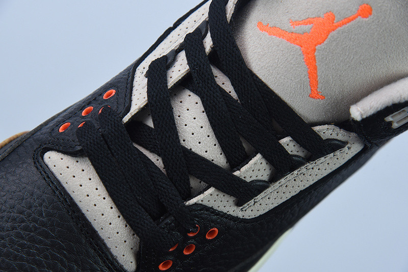 AIR JORDAN 3 “DESERT ELEPHANT” CT8532-008