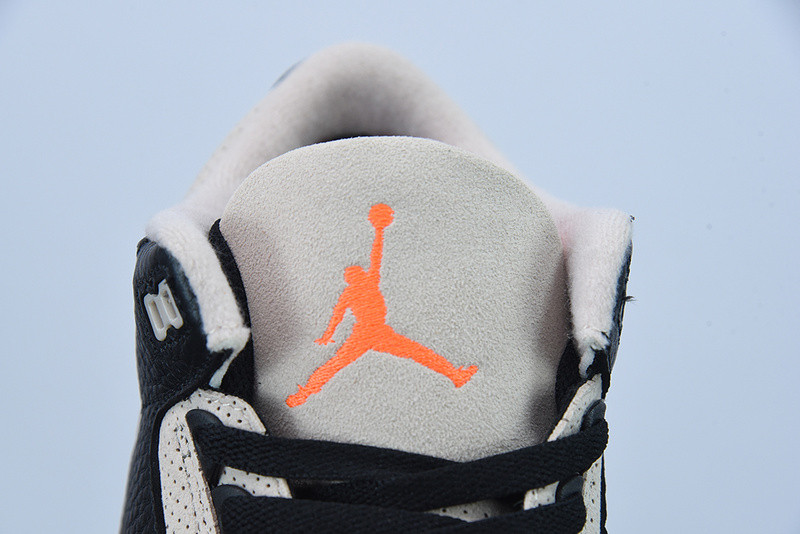 AIR JORDAN 3 “DESERT ELEPHANT” CT8532-008