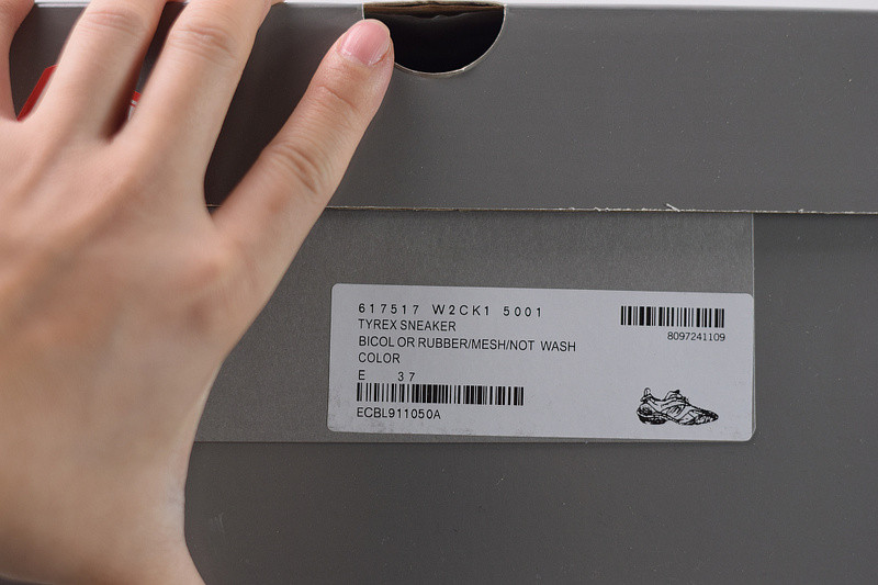 BC 5.0 TYREX 20SS RUNWAY