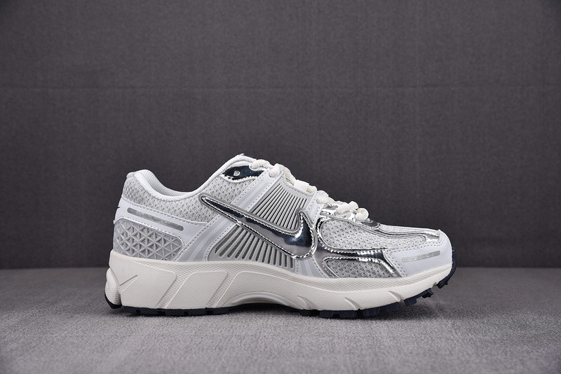 Nike Zoom Vomero 5 Photon Dust Metallic Silver (Women