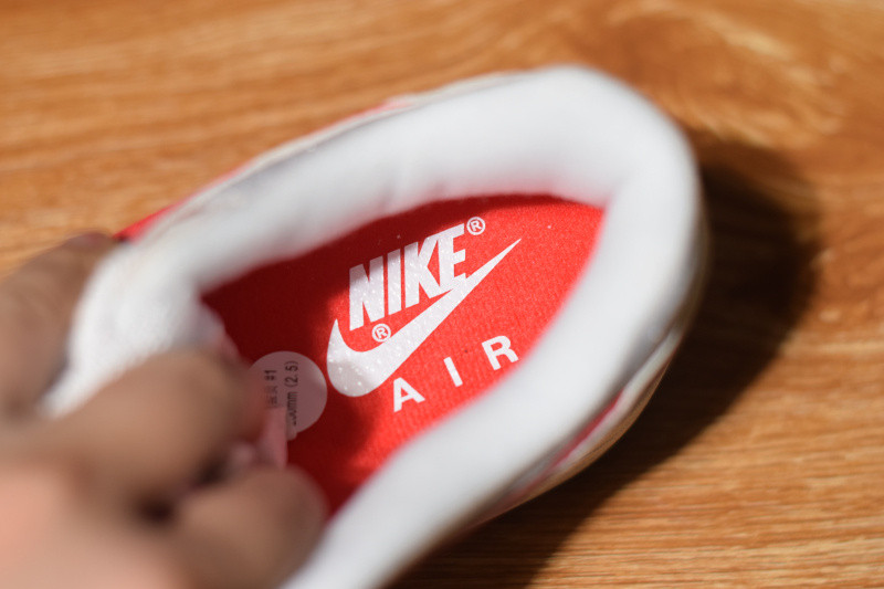 NIKE AIR MAX 1 ANNIVERSARY RED 908375-103