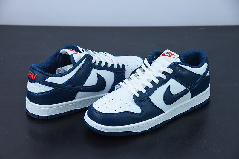 NIKE DUNK LOW VALERIAN BLUE DD1391-400