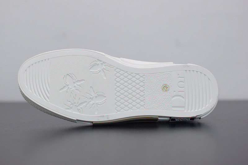 B23 LOW-TOP SNEAKER IN DIO* OBLIQUE WITH DIO* AND ALEX FOXTON PRINT