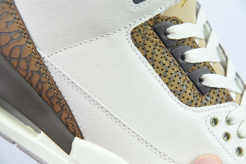 Air Jordan 3 "Palamino" CT8532-102
