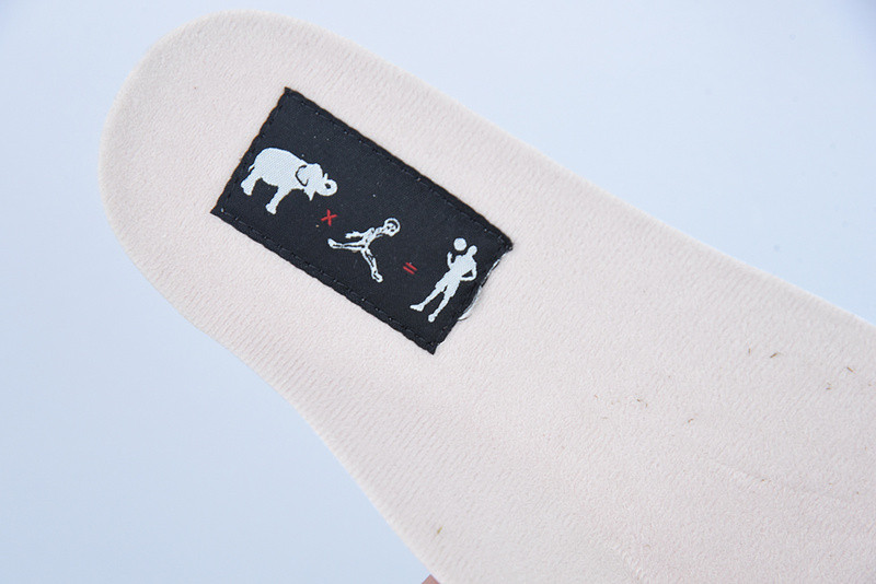 AIR JORDAN 3 “DESERT ELEPHANT” CT8532-008