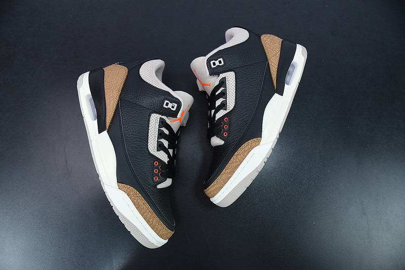 AIR JORDAN 3 “DESERT ELEPHANT” CT8532-008