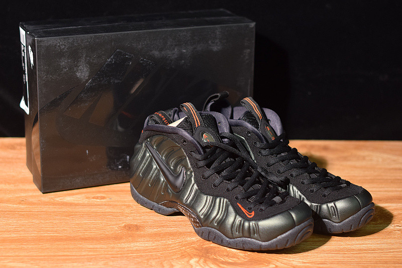 NIKE AIR FOAMPOSITE  PRO SEQUOIA 624041-304