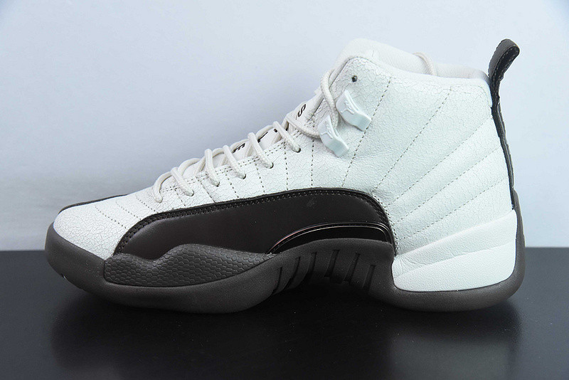 SoleFly X Air Jordan 12 Retro SP
