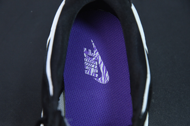 NIKE DUNK LOW "WORLD CHAMP" DR9511-100