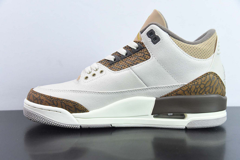 Air Jordan 3 "Palamino" CT8532-102