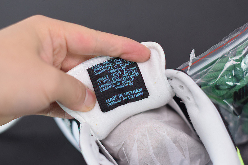 NIKE SB DUNK LOW “LOON” 313170-011