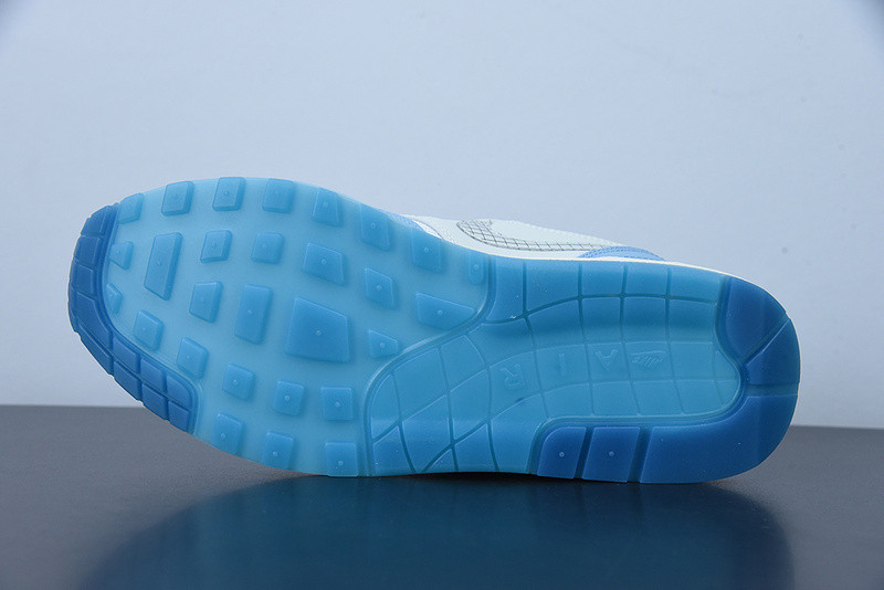 NIKE AIR MAX 1 PREMIUM