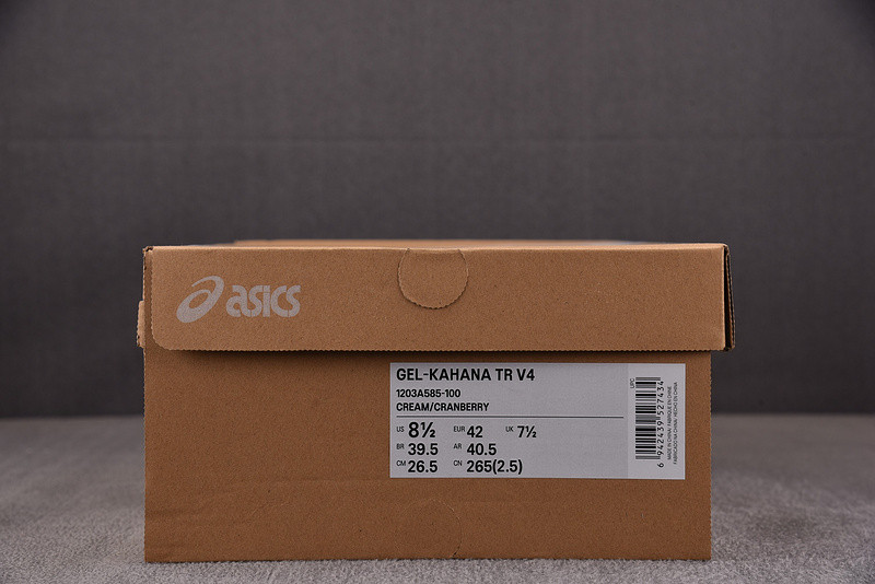 ASICS Gel-Kahana TR V4