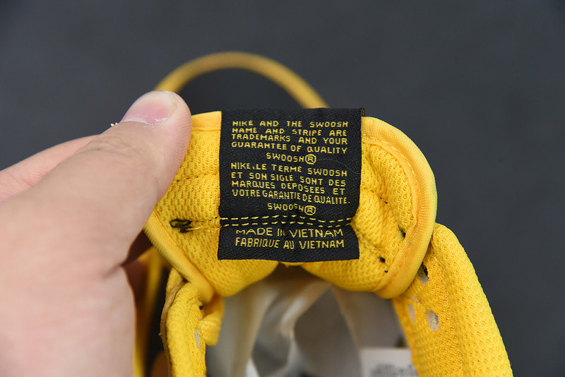 NIKE DUNK LOW “GOLDEROD” DD1391-004